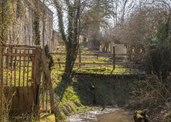 db3b497e4504e36ad3eba00039da0a3c-687cbce253ecb