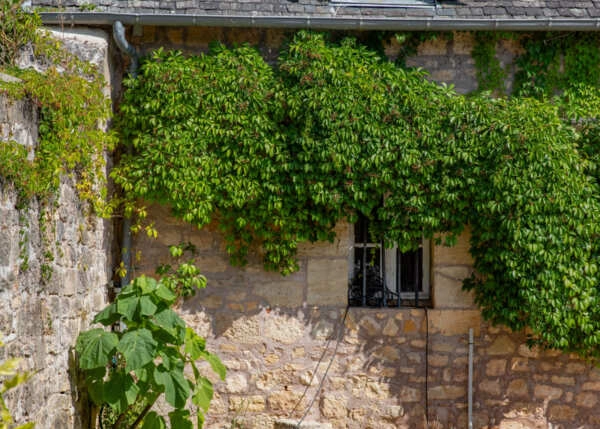 58a8cc61f9b43c71a41ee66ce81c57a0-687cd3c83ac12