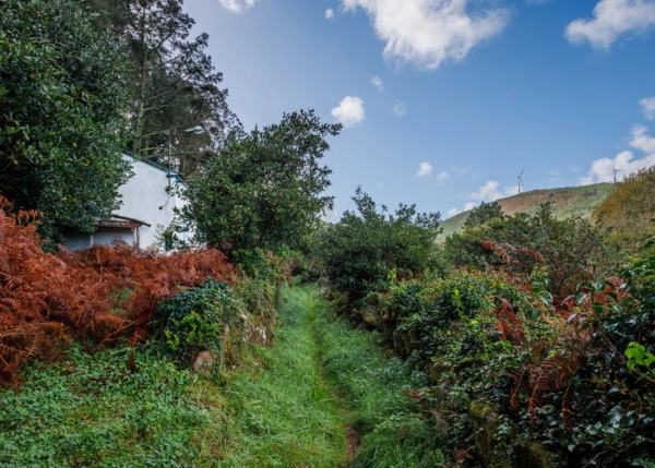 15-2581-691b5a1b20c73