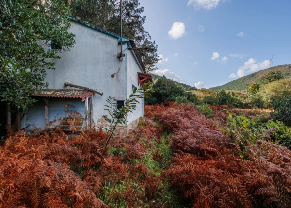 18-2581-691b5a2bd0416