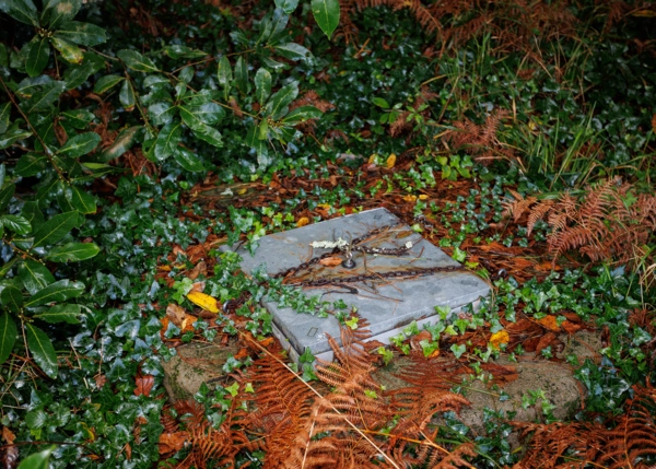 19-2581-691b5a3032224