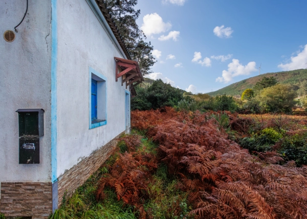 21-2581-691b5a3bc3de6