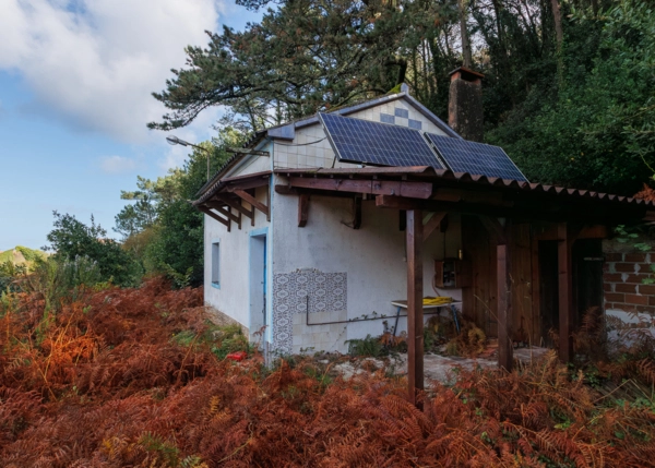 23-2581-691b5a45db241