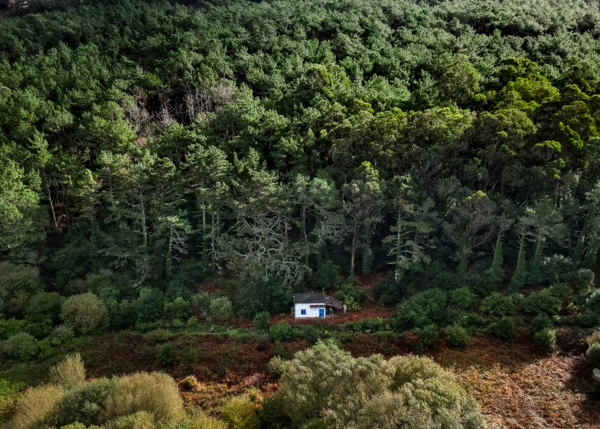 3-2581-691b59d6737f5