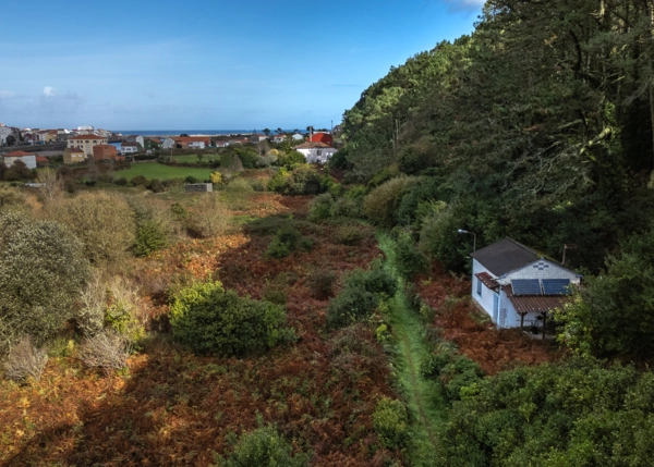 4-2581-691b59dbf2877