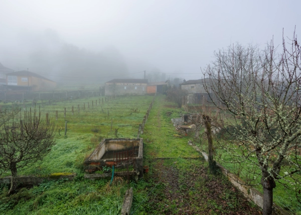 115-2616-696688d689f25