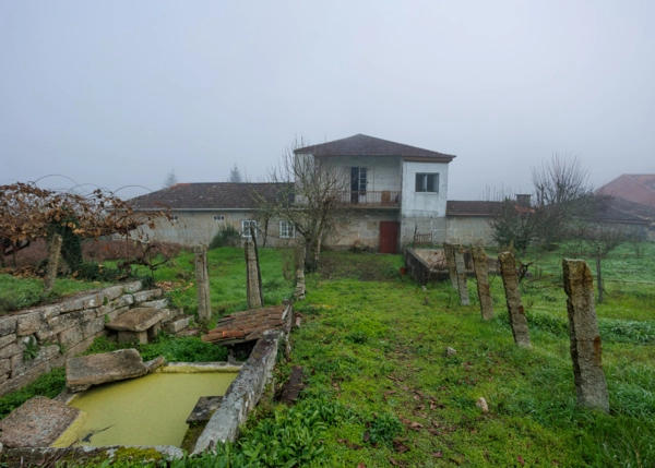 124-2616-696688f98a5e0