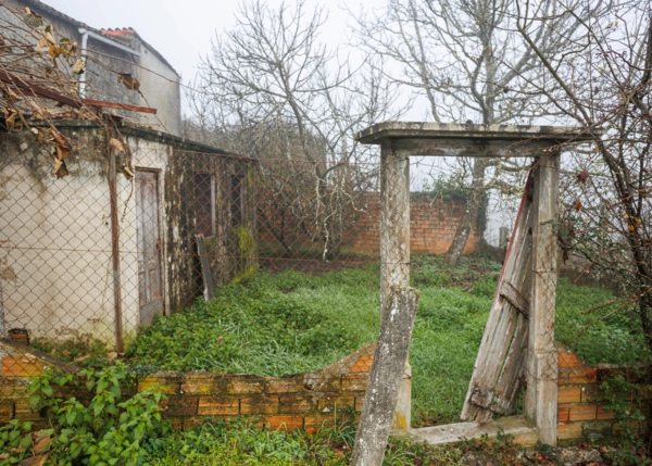 127-2616-696689047d0fc