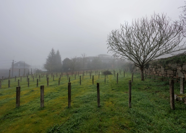 135-2616-69668924c4eb1