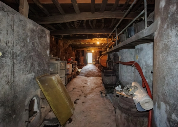 29-2616-696687ac9ab16