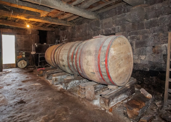 33-2616-696687b834118