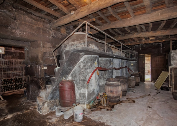 38-2616-696687cc8c983