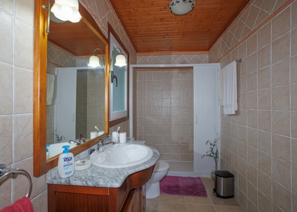 53-2616-69668806db746