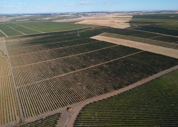 DJI-0204-68d6880b3a72a