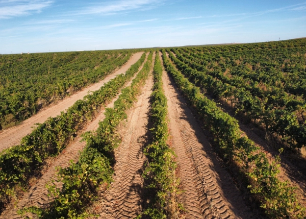 dji-fly-20251001-182102-240-1759335778352-photo-optimized-68e4d5da978c3