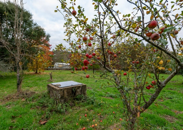 DSC-6470-69208ecb75e47