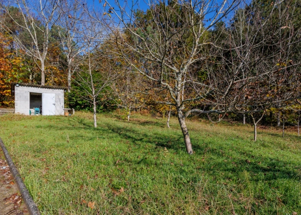 86-2669-69402bf4d4b1b