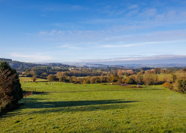 58-2688-693b0d33a62dc