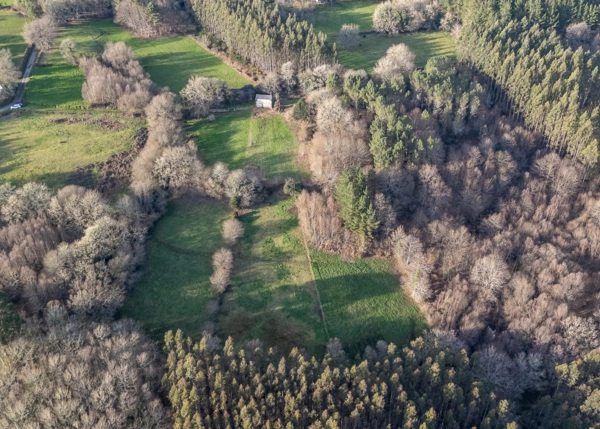 DJI-20260221175030-0038-D-69a601a03ad96