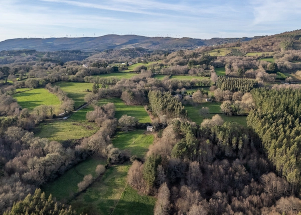 DJI-20260221175905-0045-D-69a601a2b26c9