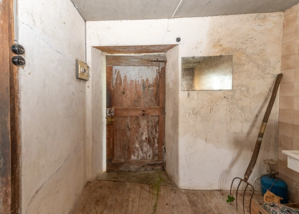 DSC-7117-69a601bc7068e