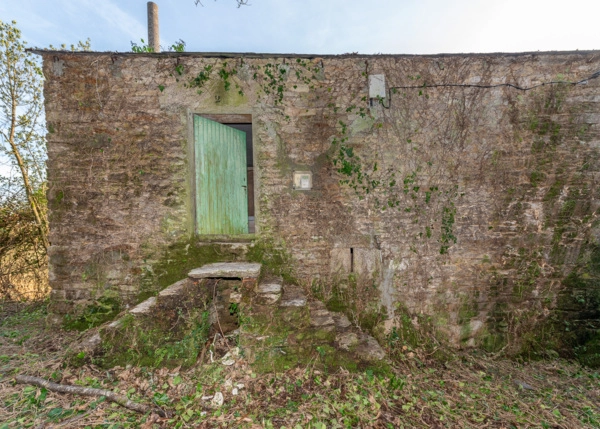 DSC-7121-69a601be7fe66