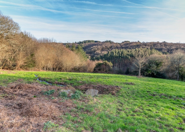 DSC-7131-69a601c81c569