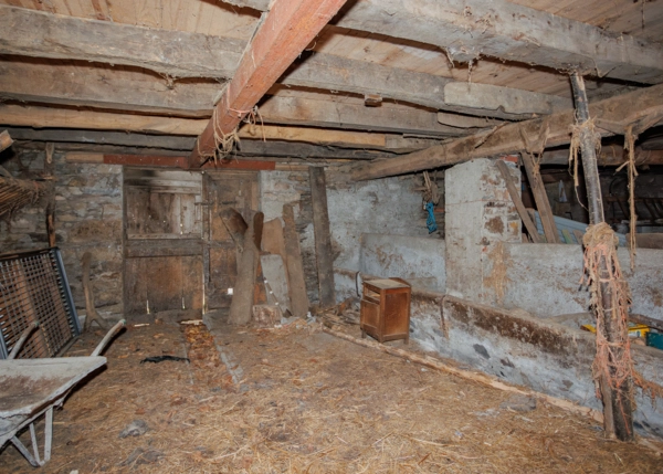 49-2768-695e36e9e3d22