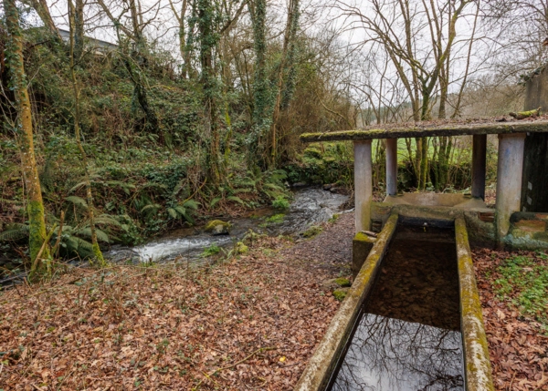 113-2787-699ee5c2d0386