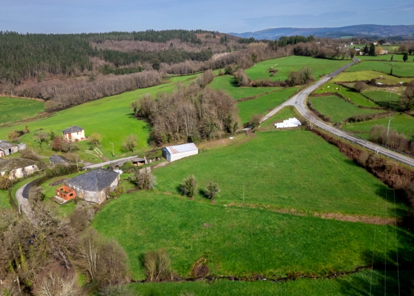 12-2787-699ee3ac9836a