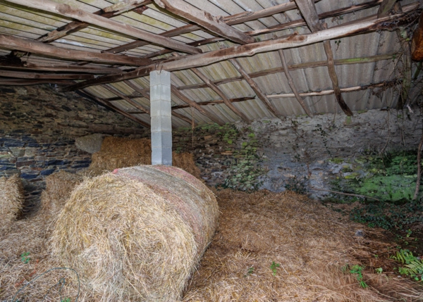 41-2787-699ee4889d7c8