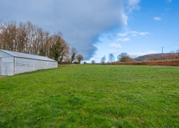 51-2787-699ee4c75c7e7