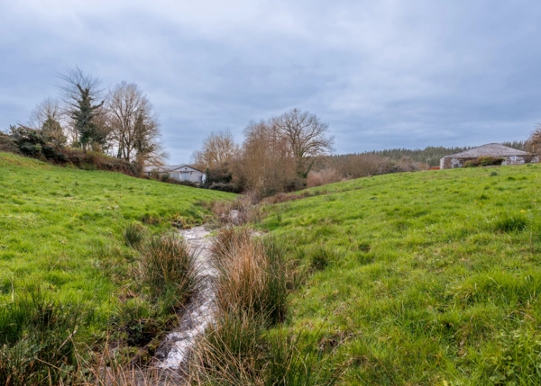 55-2787-699ee4e44ddbc