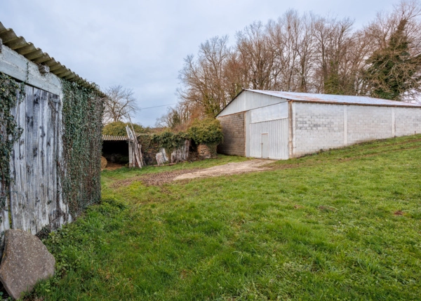 69-2787-699ee525c653c