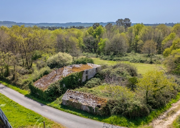 001-2796-69e65eb7a5522