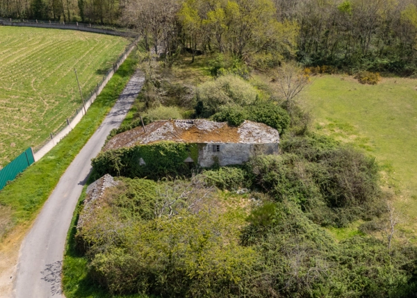 003-2796-69e65ec104560