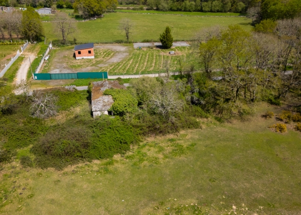 004-2796-69e65ec535e91