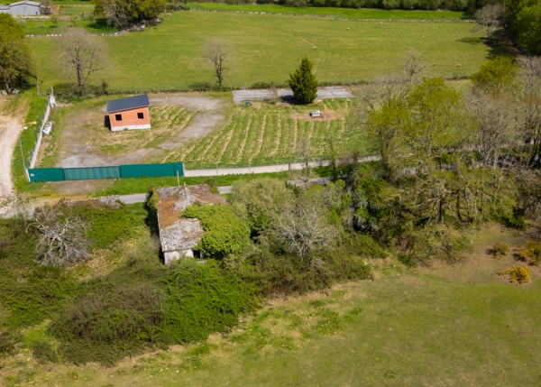 005-2796-69e65ec9f1959