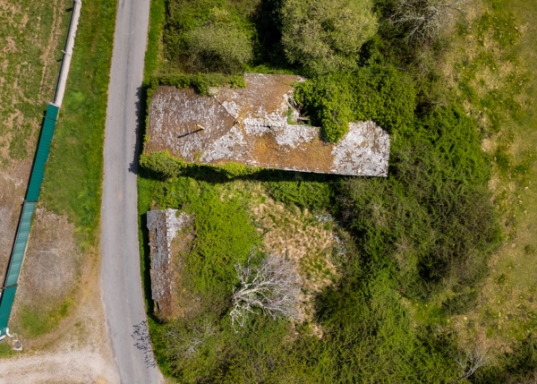 009-2796-69e65edce2a8f