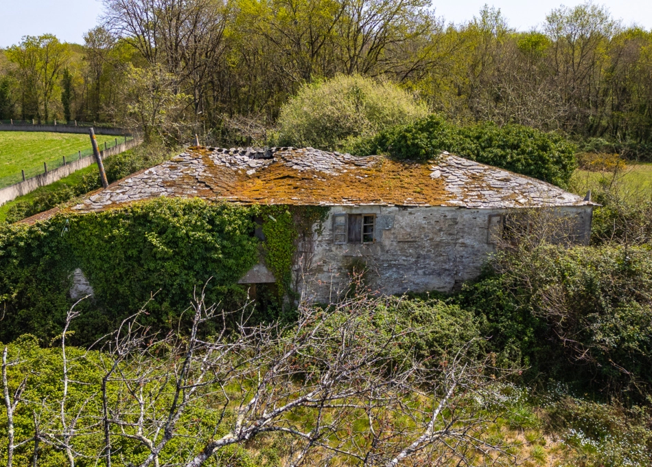 011-2796-69e65ee959402