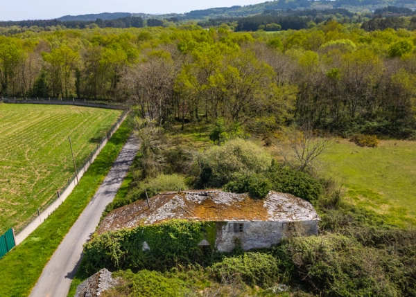 013-2796-69e65ef71a8f6