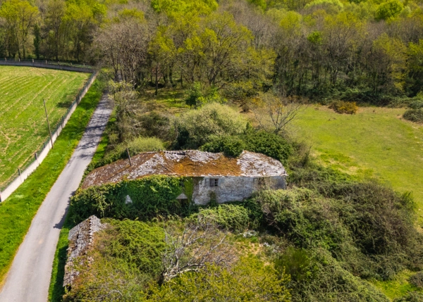 014-2796-69e65f003783c