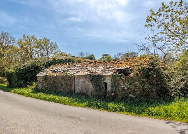 015-2796-69e65f04ea230