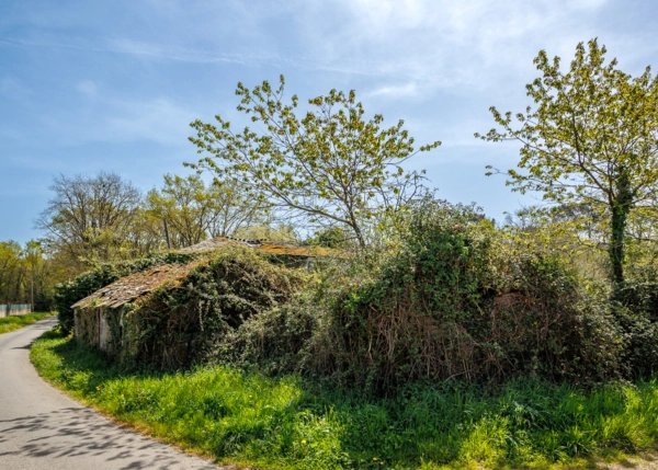 017-2796-69e65f111dce0