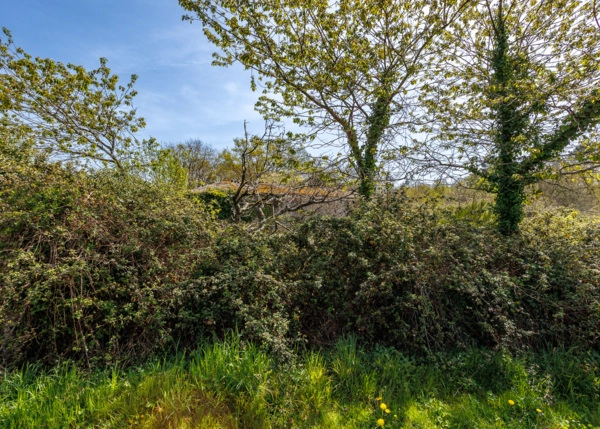 018-2796-69e65f1403cea