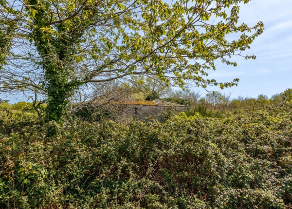 019-2796-69e65f16d1c65