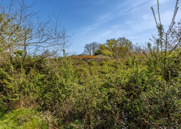 020-2796-69e65f19f2fdf