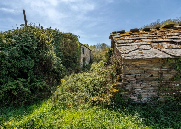 021-2796-69e65f1d48e50