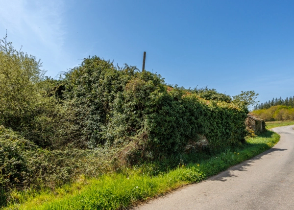 022-2796-69e65f1fdb759