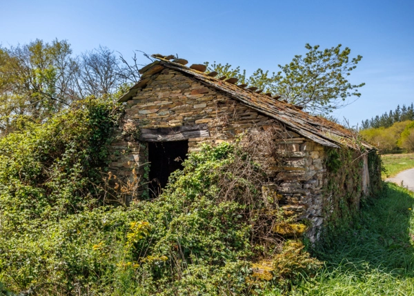 023-2796-69e65f2367829